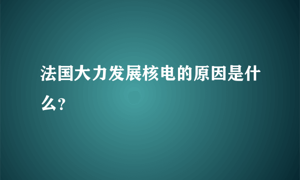 法国大力发展核电的原因是什么？