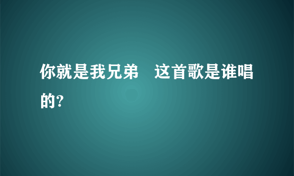 你就是我兄弟   这首歌是谁唱的?