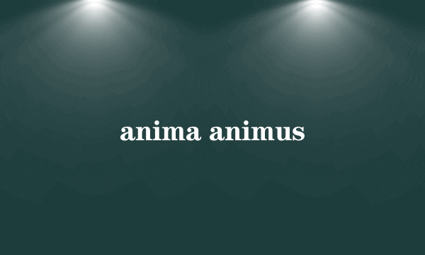 anima animus