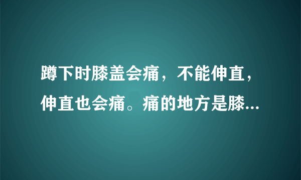 蹲下时膝盖会痛，不能伸直，伸直也会痛。痛的地方是膝...