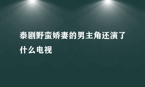 泰剧野蛮娇妻的男主角还演了什么电视