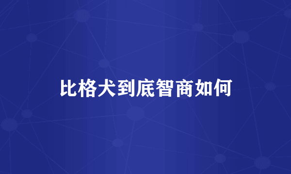 比格犬到底智商如何