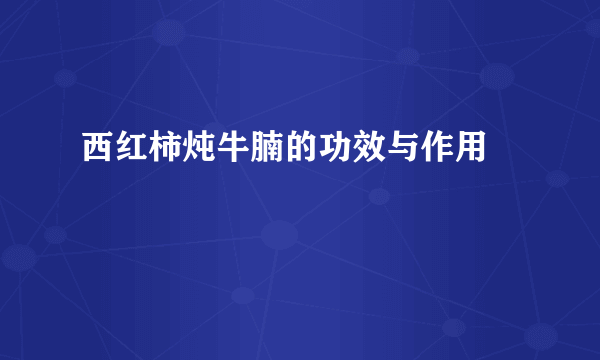 西红柿炖牛腩的功效与作用 