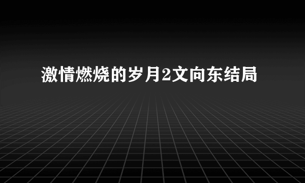 激情燃烧的岁月2文向东结局