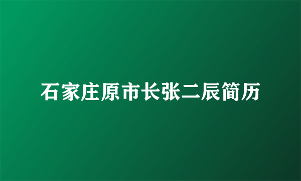 石家庄原市长张二辰简历