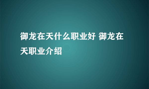 御龙在天什么职业好 御龙在天职业介绍