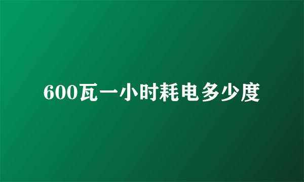 600瓦一小时耗电多少度