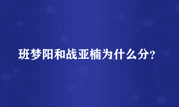 班梦阳和战亚楠为什么分？