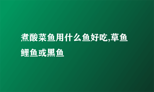 煮酸菜鱼用什么鱼好吃,草鱼鲤鱼或黑鱼