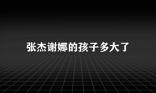 张杰谢娜的孩子多大了