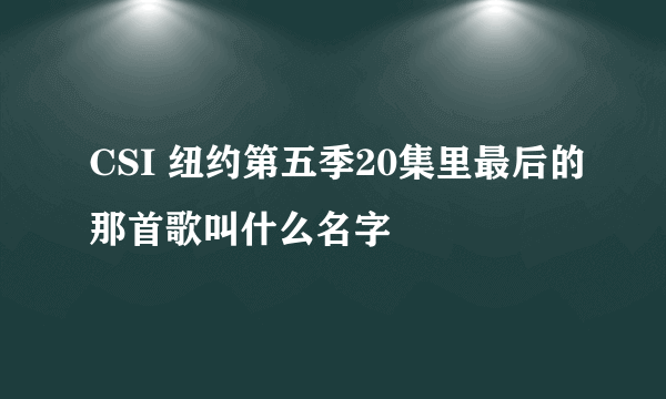 CSI 纽约第五季20集里最后的那首歌叫什么名字