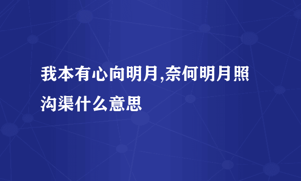 我本有心向明月,奈何明月照沟渠什么意思