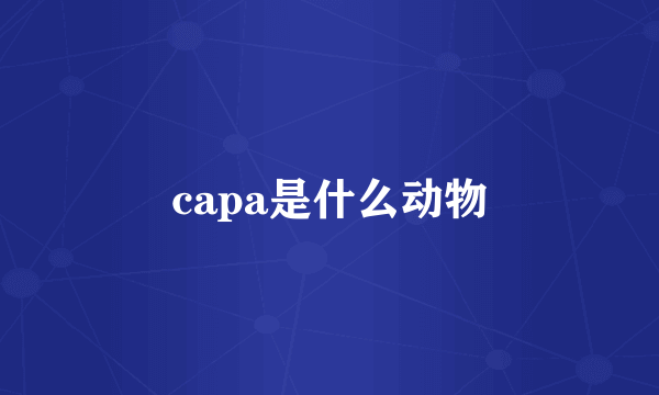 capa是什么动物