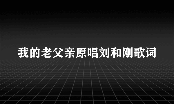 我的老父亲原唱刘和刚歌词