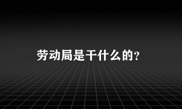 劳动局是干什么的？