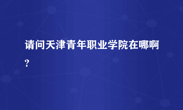 请问天津青年职业学院在哪啊?