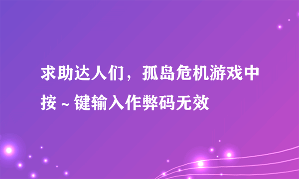 求助达人们，孤岛危机游戏中按～键输入作弊码无效