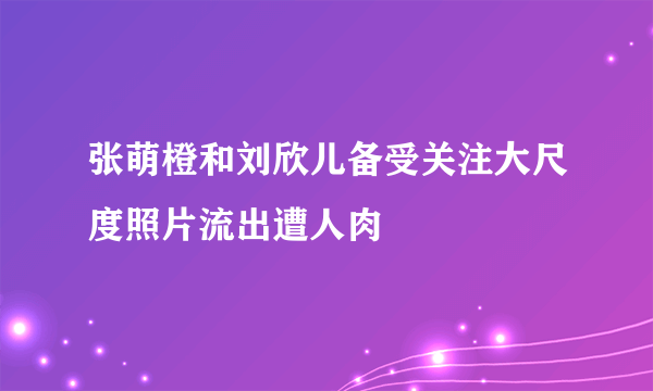 张萌橙和刘欣儿备受关注大尺度照片流出遭人肉