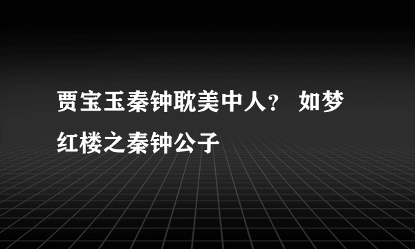 贾宝玉秦钟耽美中人？ 如梦红楼之秦钟公子