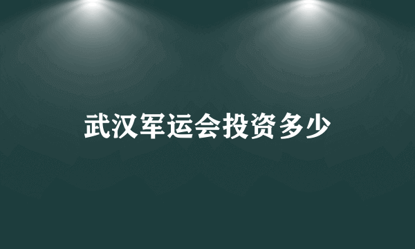 武汉军运会投资多少