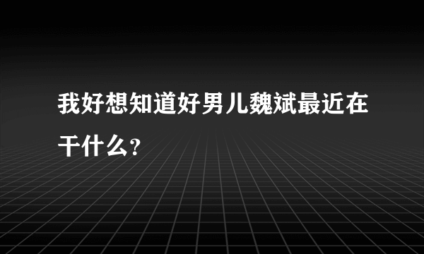 我好想知道好男儿魏斌最近在干什么？