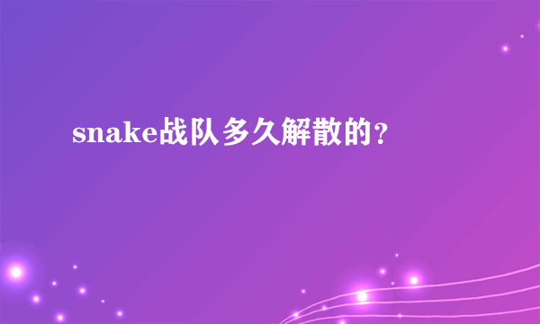 snake战队多久解散的？