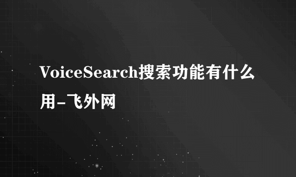 VoiceSearch搜索功能有什么用-飞外网