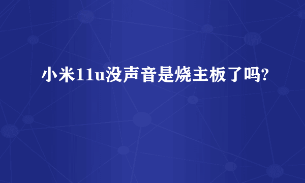 小米11u没声音是烧主板了吗?