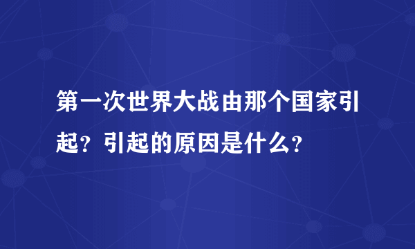 第一次世界大战由那个国家引起？引起的原因是什么？