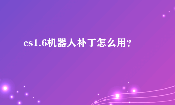 cs1.6机器人补丁怎么用？