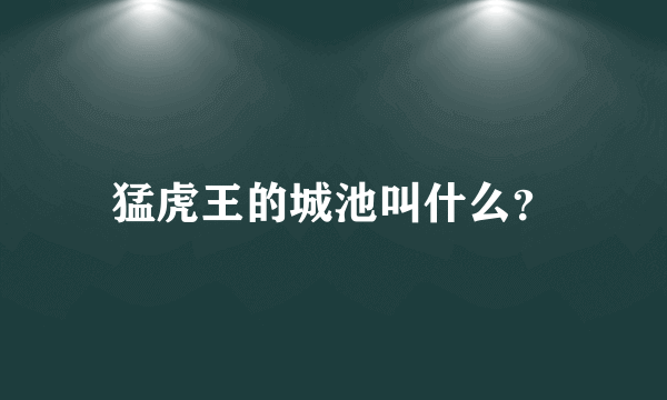 猛虎王的城池叫什么？