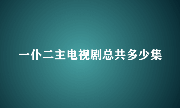 一仆二主电视剧总共多少集