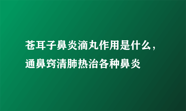 苍耳子鼻炎滴丸作用是什么，通鼻窍清肺热治各种鼻炎