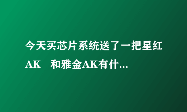 今天买芯片系统送了一把星红AK   和雅金AK有什么区别？