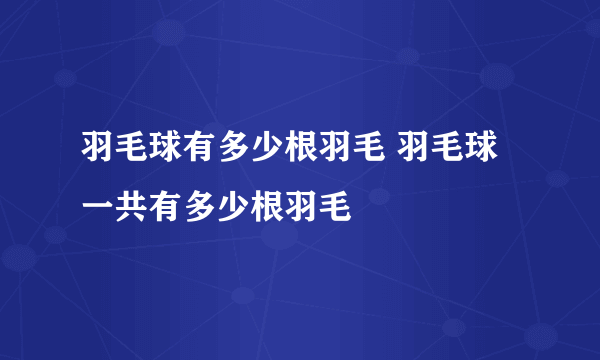 羽毛球有多少根羽毛 羽毛球一共有多少根羽毛