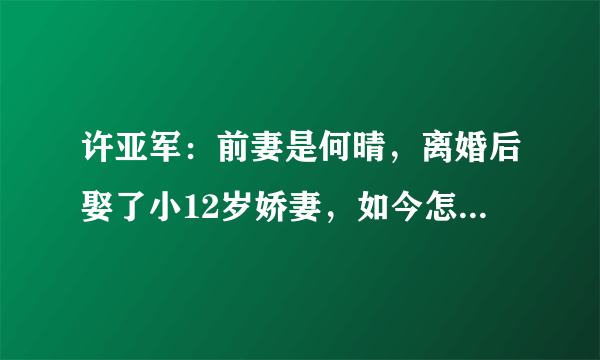 许亚军：前妻是何晴，离婚后娶了小12岁娇妻，如今怎么样了？