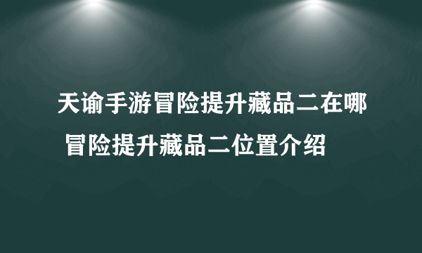 天谕手游冒险提升藏品二在哪 冒险提升藏品二位置介绍