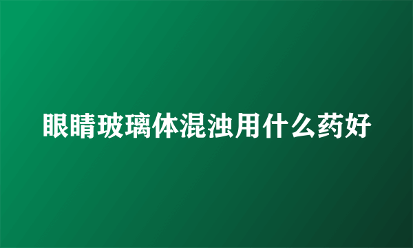 眼睛玻璃体混浊用什么药好