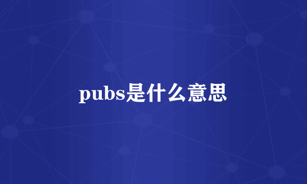 pubs是什么意思