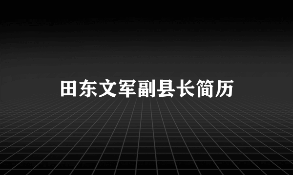 田东文军副县长简历