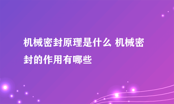 机械密封原理是什么 机械密封的作用有哪些