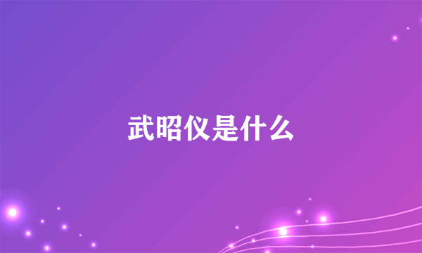 武昭仪是什么