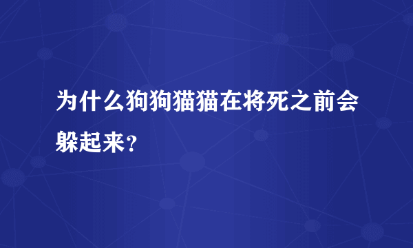 为什么狗狗猫猫在将死之前会躲起来？