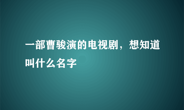 一部曹骏演的电视剧，想知道叫什么名字