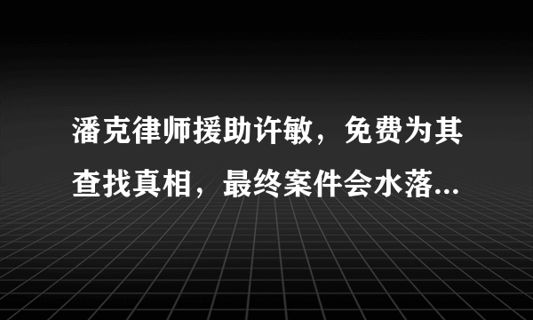 潘克律师援助许敏，免费为其查找真相，最终案件会水落石出吗？