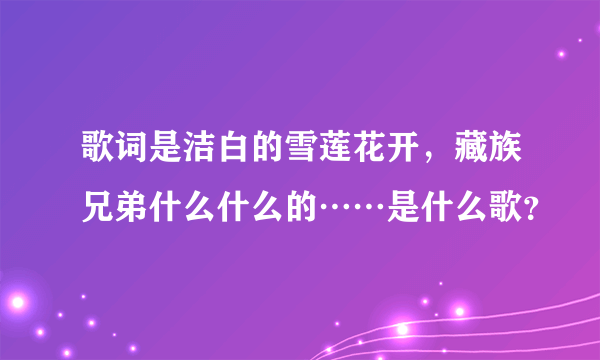 歌词是洁白的雪莲花开，藏族兄弟什么什么的……是什么歌？