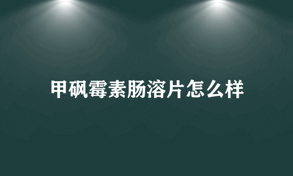 甲砜霉素肠溶片怎么样