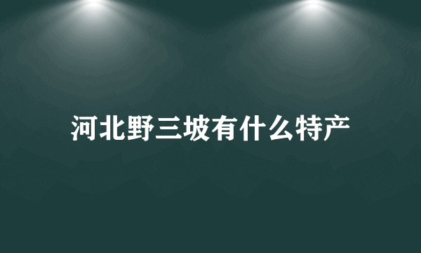 河北野三坡有什么特产