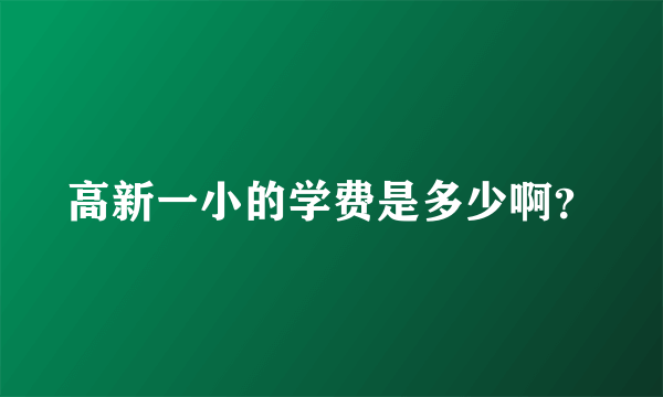 高新一小的学费是多少啊？