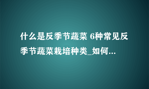 什么是反季节蔬菜 6种常见反季节蔬菜栽培种类_如何种植反季节蔬菜_6种常见反季节蔬菜栽培的种类